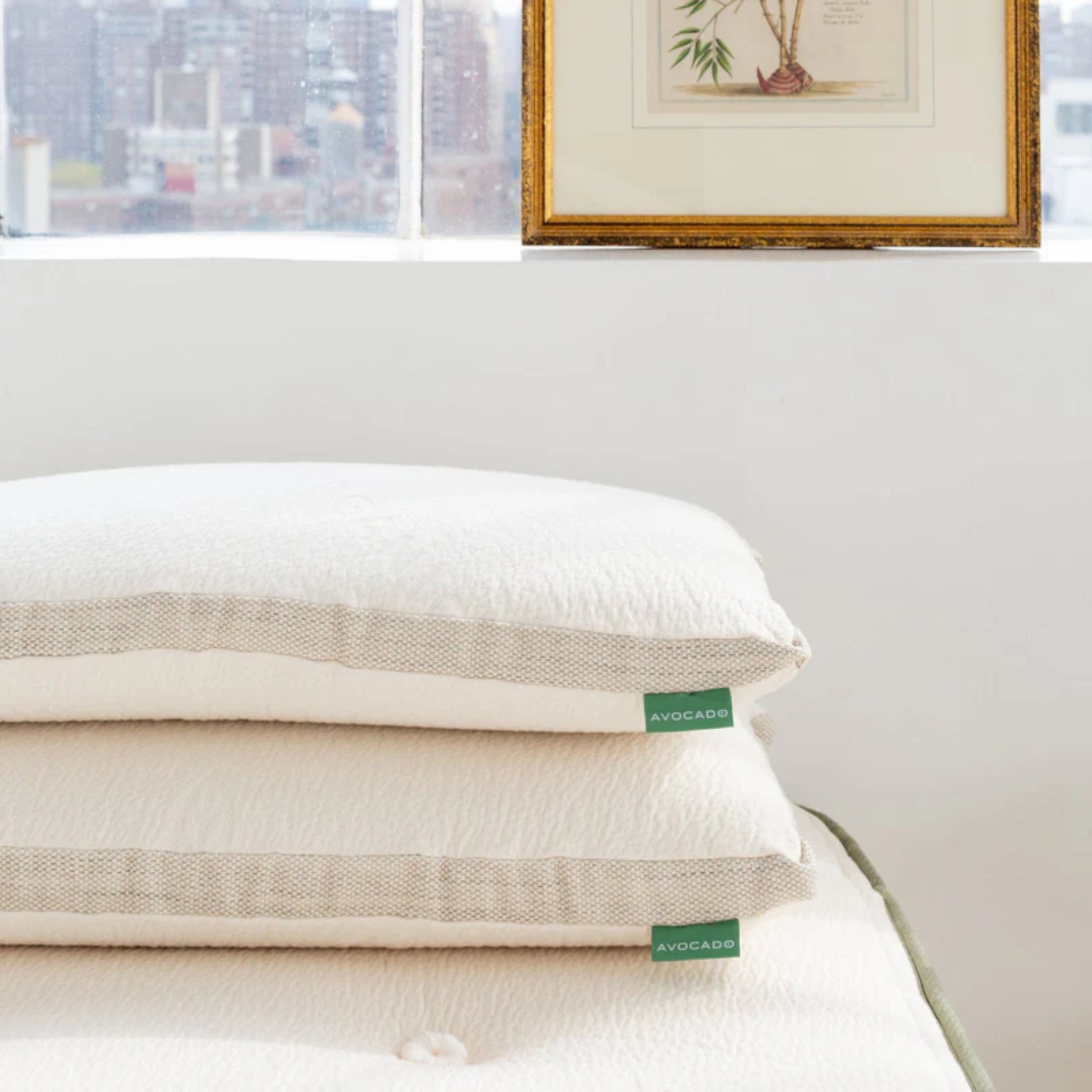 Avocado Molded Organic Latex Pillow