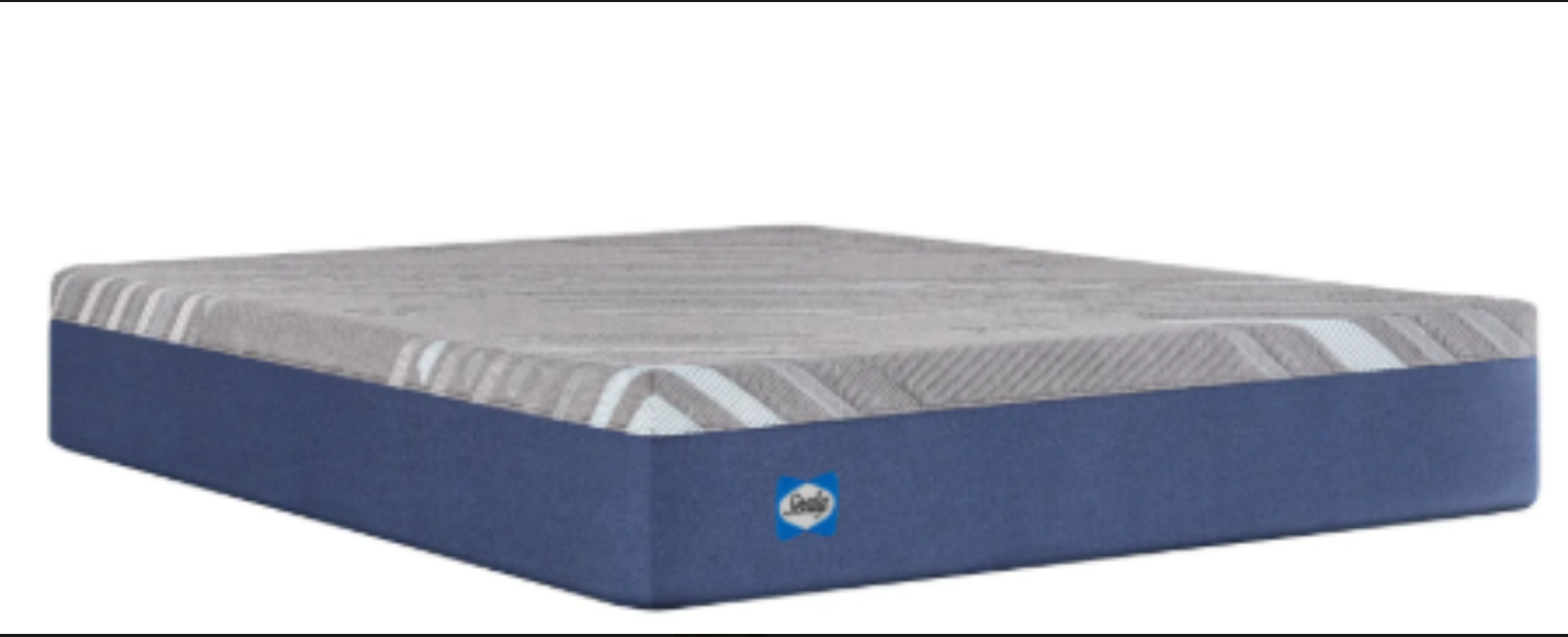 Sealy 12" Memory Foam Bed-In-A-Box